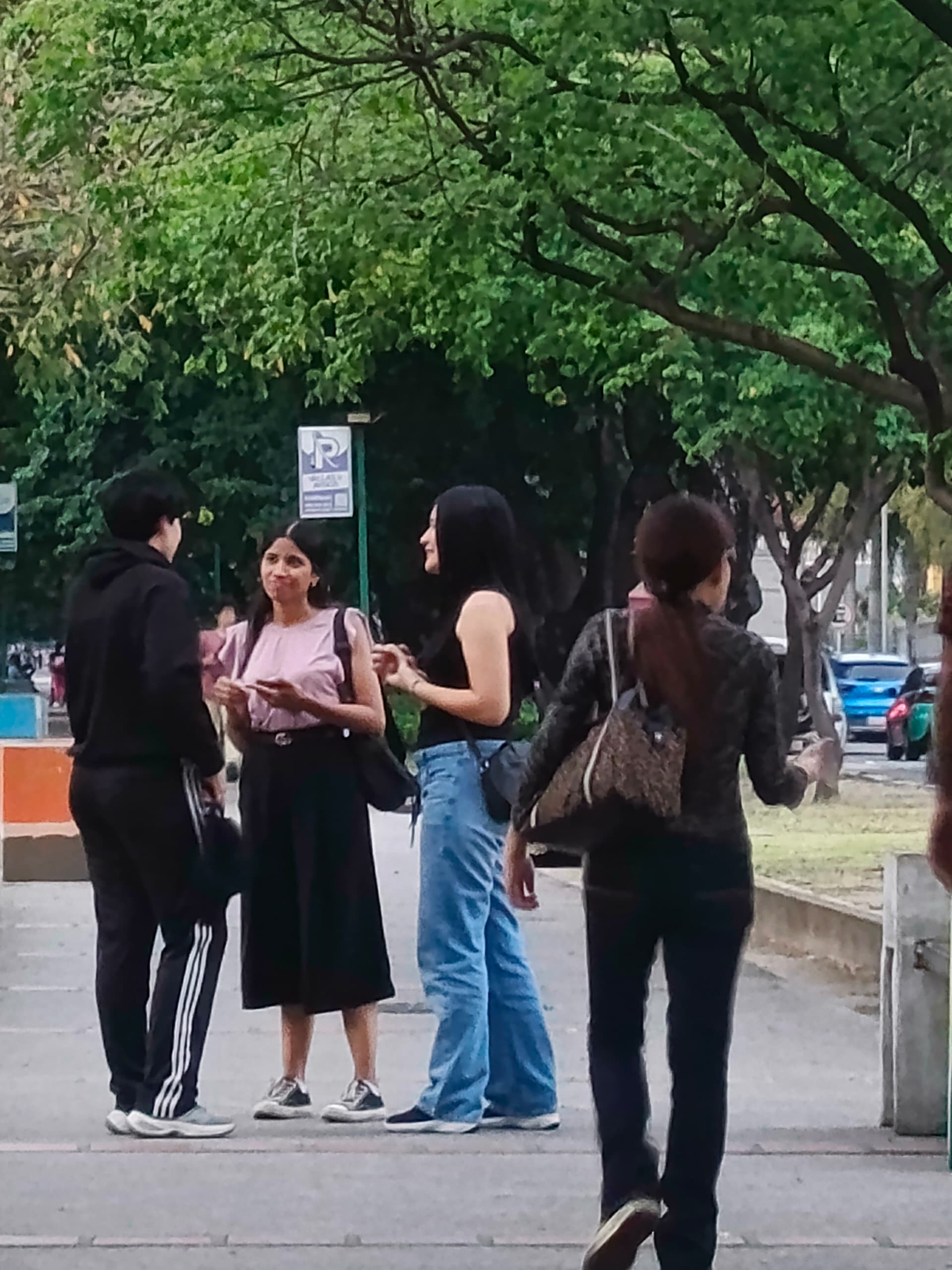 Sin título - Galería Steiger Mariana Perez